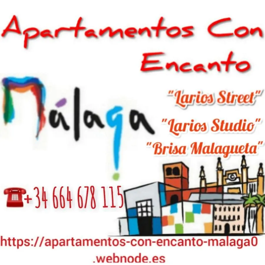 Apartamento Con Encanto 'Larios Studio' Apartment Malaga