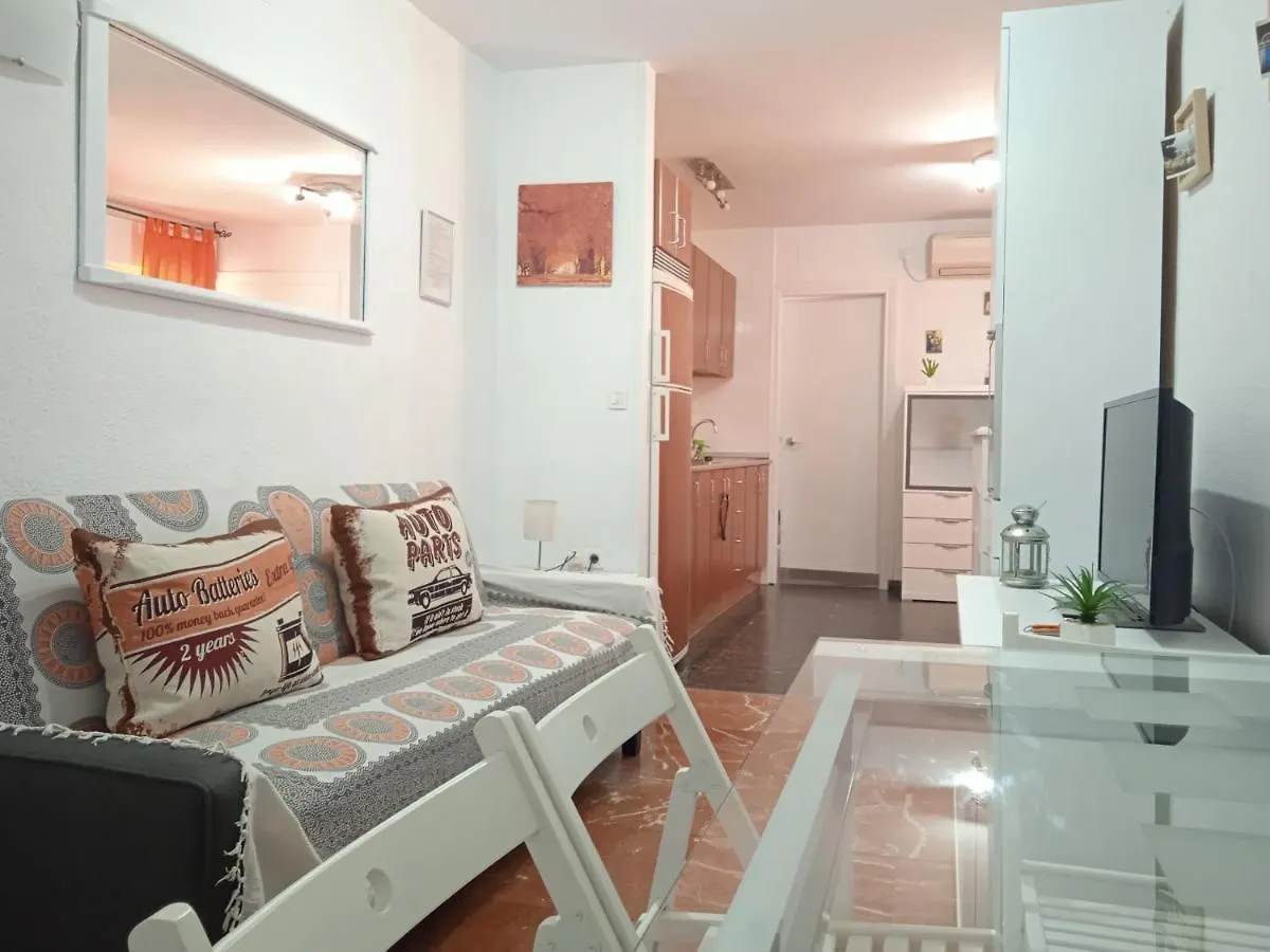 Apartamento Con Encanto 'Larios Studio' Apartment Malaga 0*,  Spain