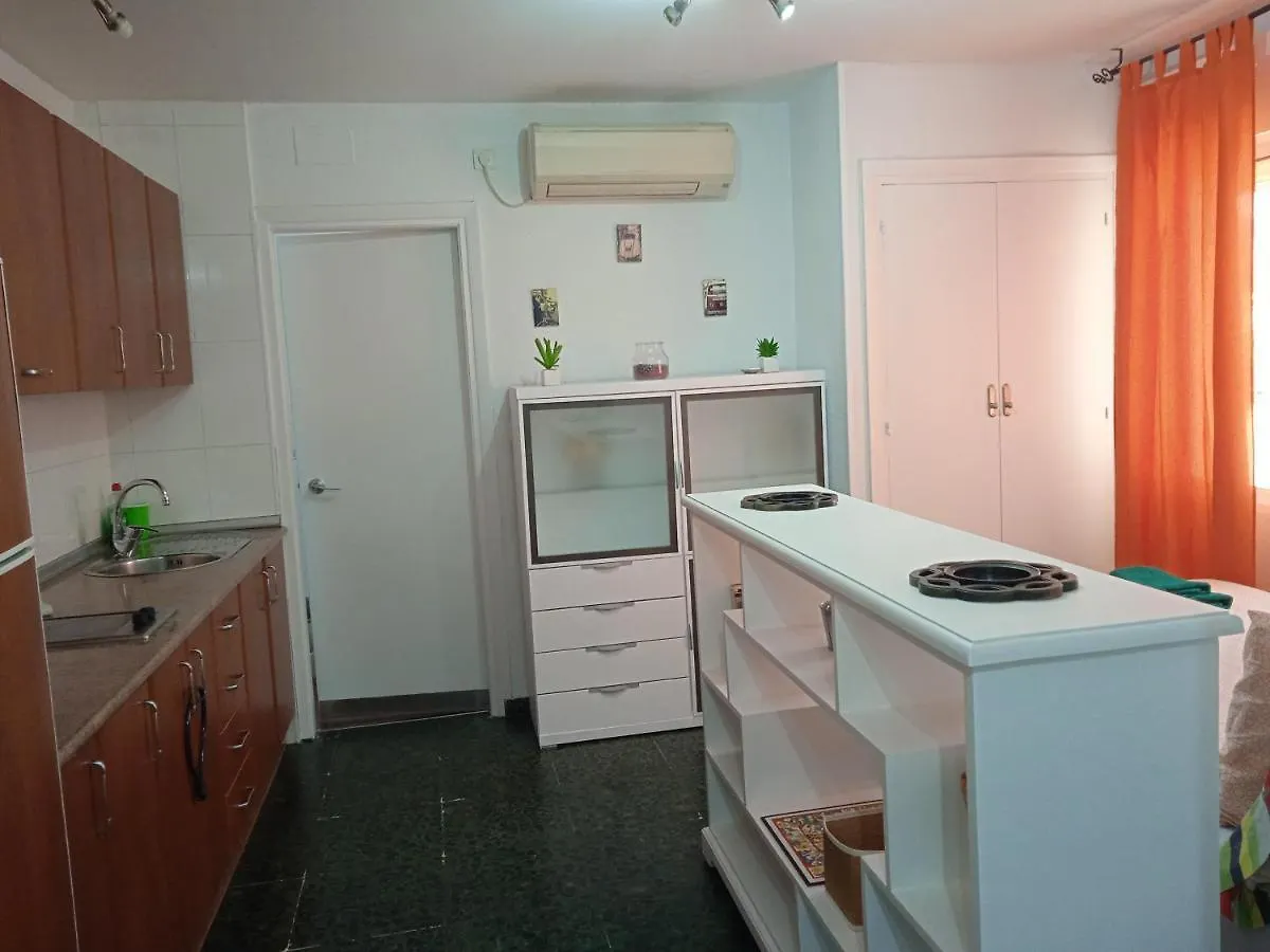 Apartamento Con Encanto 'Larios Studio' Apartment Malaga 0*,