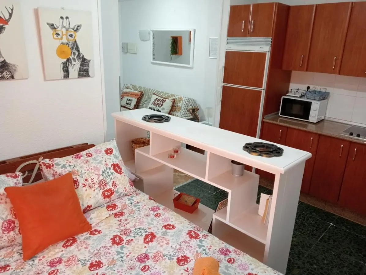 Apartamento Con Encanto 'Larios Studio' Apartment Malaga